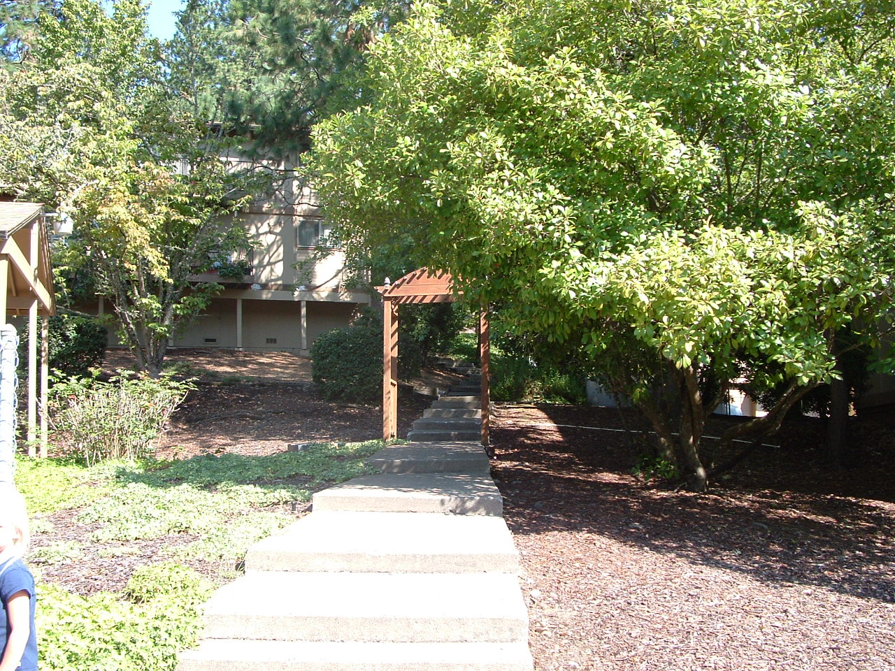 DSCF0004.JPG